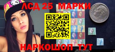 крисы Пенза