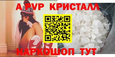 крисы Пенза