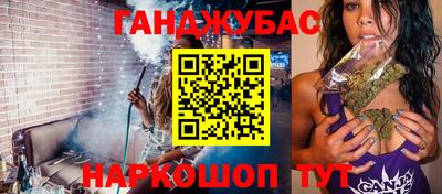 крисы Пенза