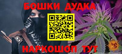 крисы Пенза