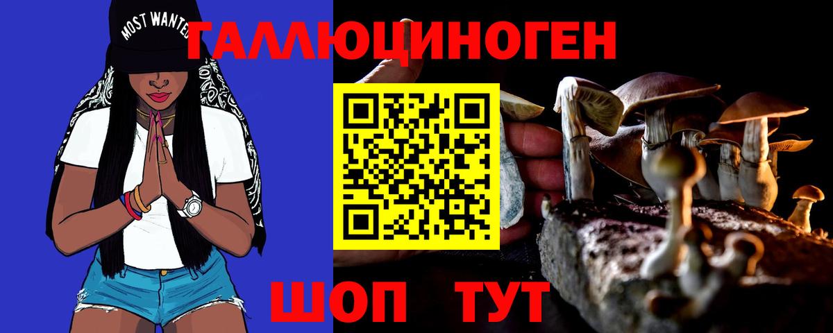 Галлюциногенные грибы Cubensis Томск