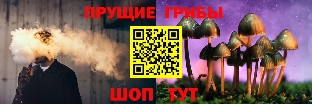 Томск  Псилоцибиновые грибы Magic Shrooms  Вход с VPN 
